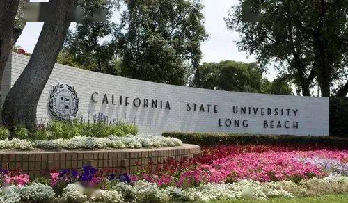 2020年美国大学世界_2020年申请人数最多的十所美国大学