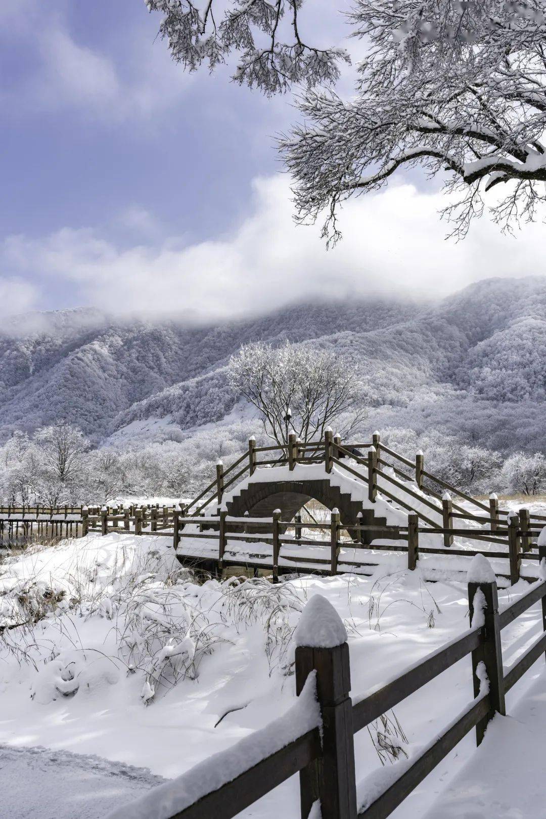 《雪中桥》神农架大九湖