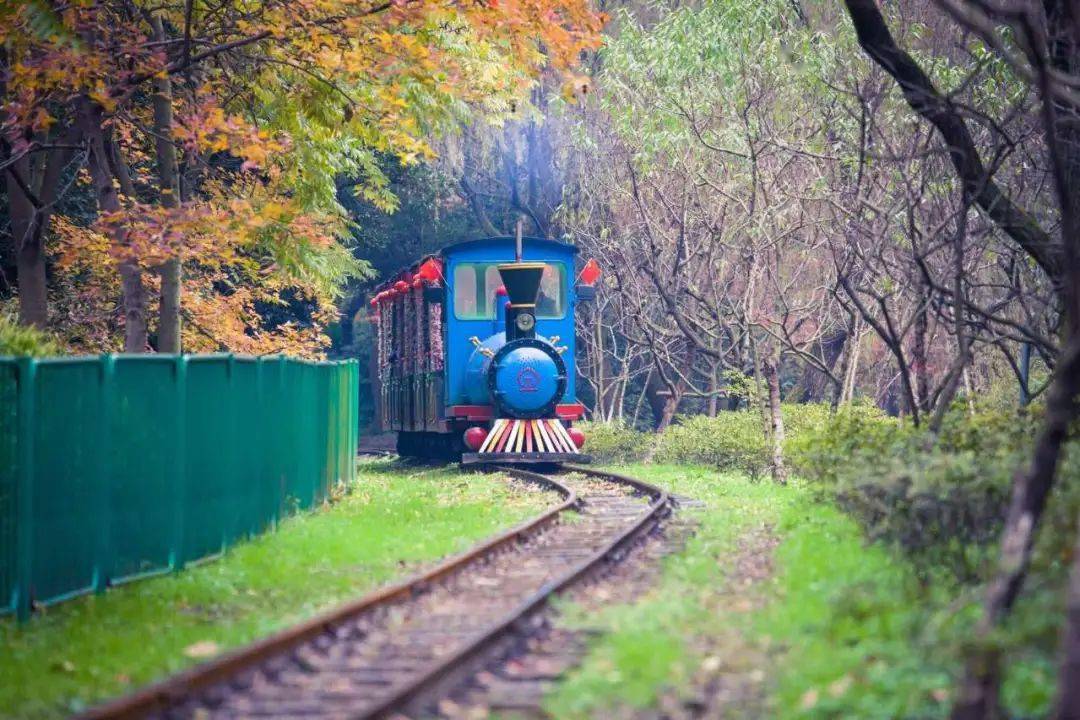 自然风景画小学生 a1b55a6a1f864f4b95c156b695114d9b.jpeg
