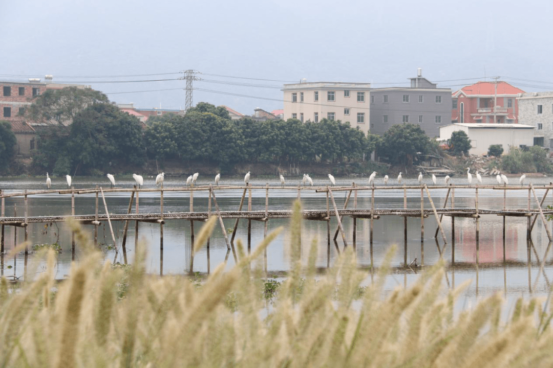 东泗村人口_东泗中学