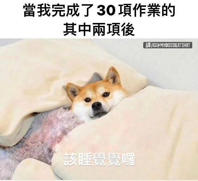 44ae351c7fb14fbb8fd023a6576033a0.jpeg