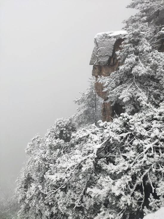 美！张家界武陵源核心景区冬天的第一场雪来了！