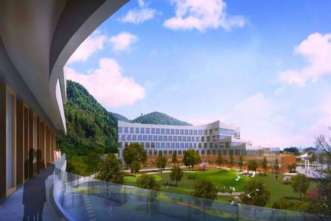 2020年浙江专科学校_宁大、浙大宁波理工学院...2020年浙江热门高校志愿(2)