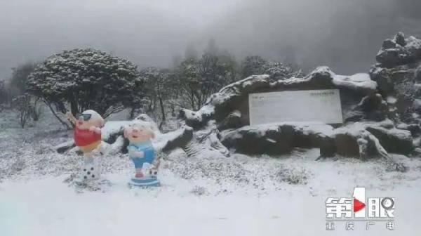 多地迎降雪！重庆的冬天又多了种仪式感