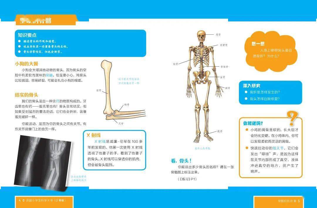 浅谈人口与环境的关系_人口与生态环境关系(3)