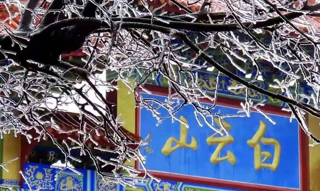 白云山子公司天心药业检出可见异物 曾被收回G