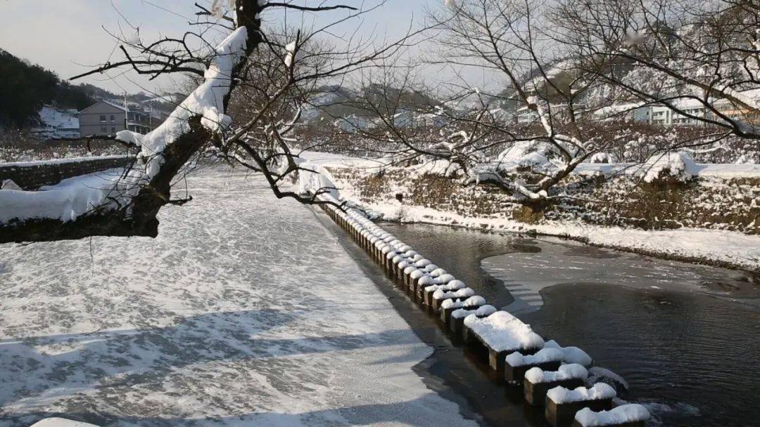 杭州下雪了湖州下雪了余姚的雪景也奔着你来了