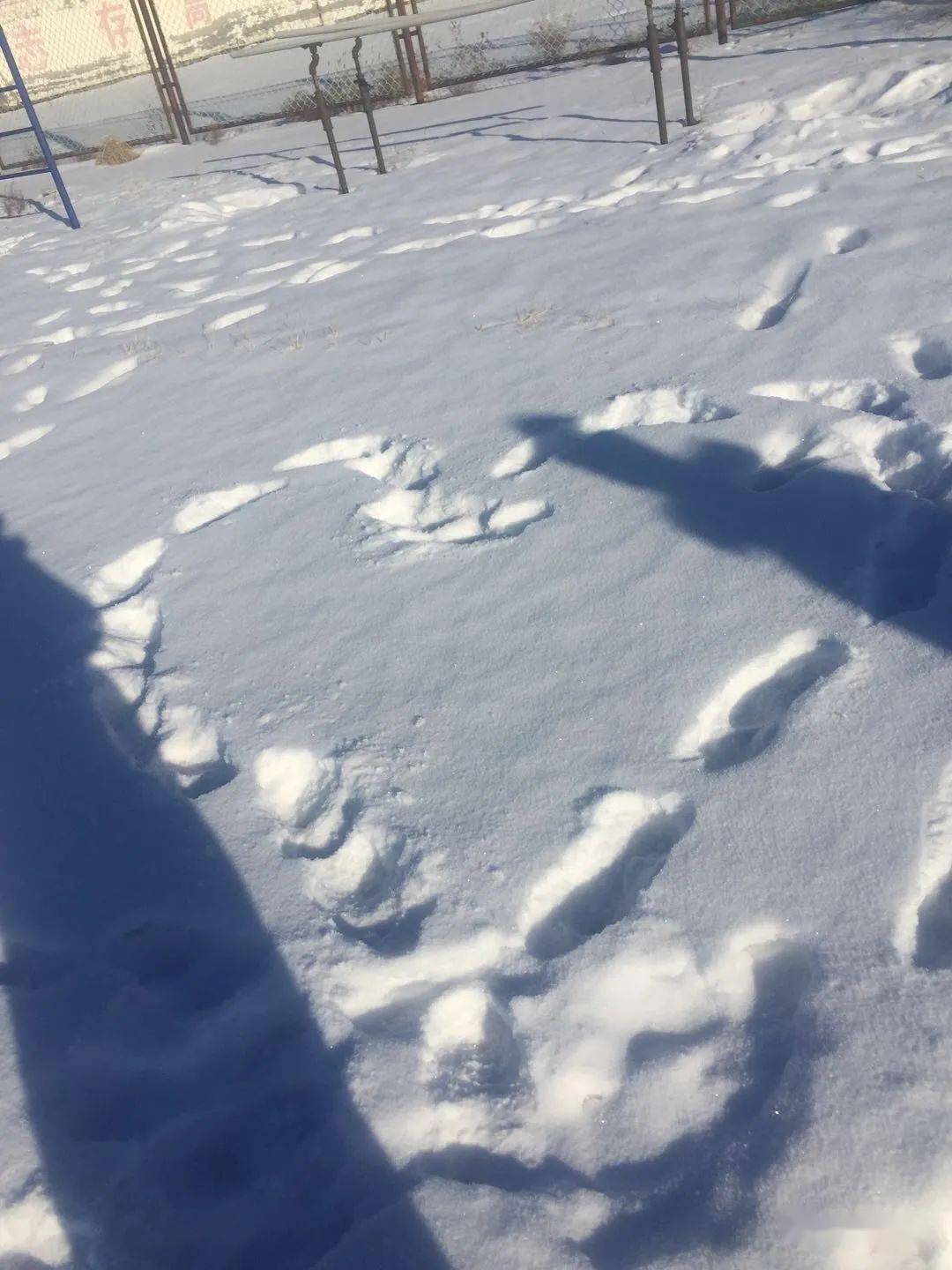 去操场踩踩雪其实也很可