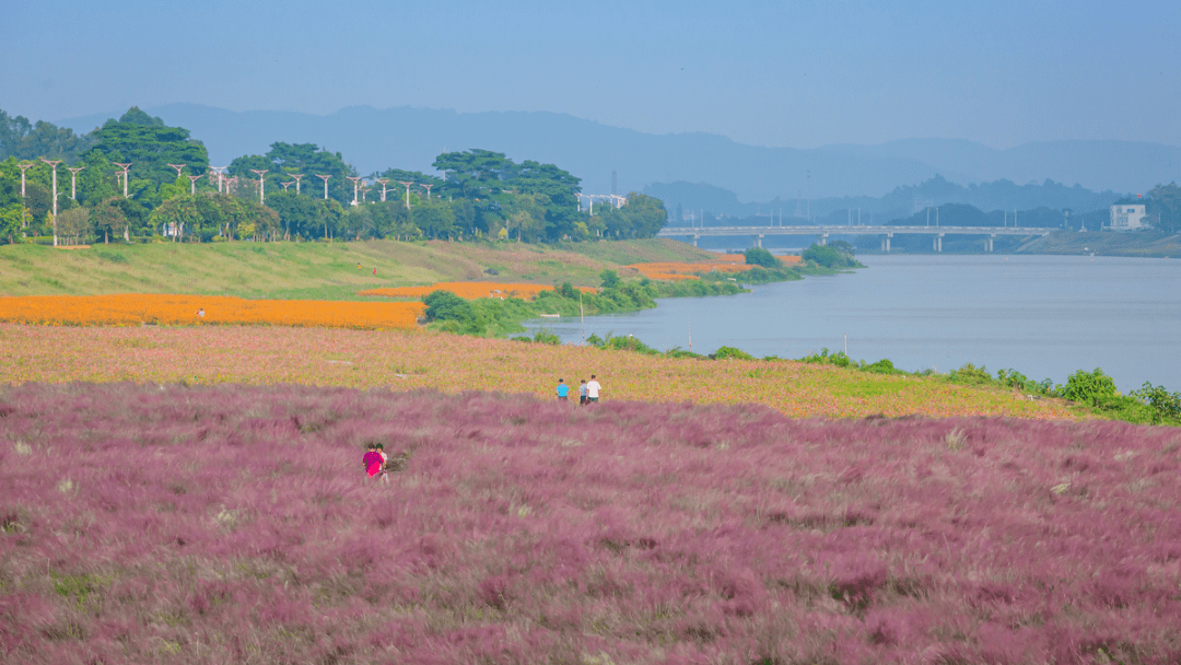 2021南海各镇gdp_2020年东莞各镇街gdp