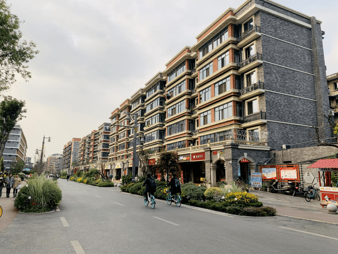 景观园林枣子巷猛追湾街道景观拓展学习活动