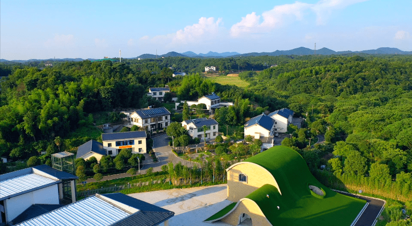 白箬铺镇:党建引领 打造乡村振兴示范样板