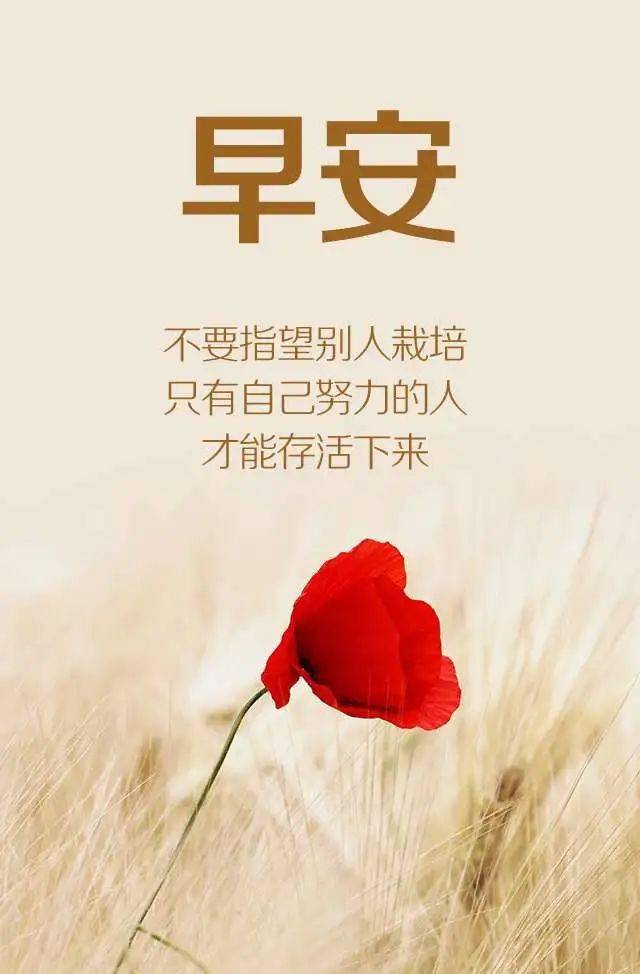 12月5日微信最新早安正能量的句子