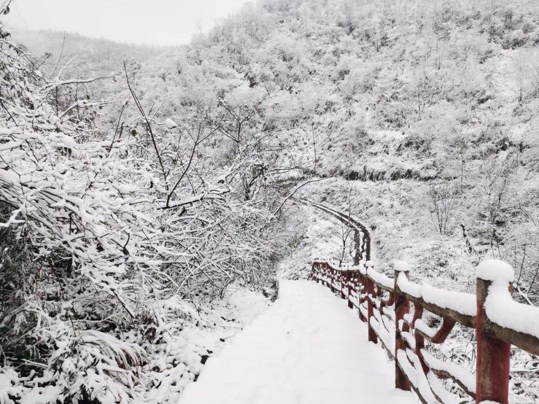 日前,龙山下雪了,境内海拔较高的八面山,大安,洛塔等地的雪景在微信