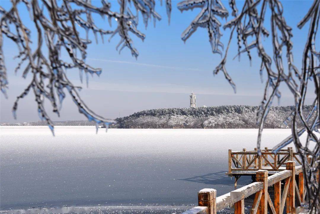 净月潭的雪景美成画卷!