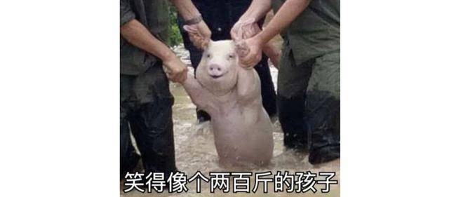 招人_招人文案_招人去哪个平台