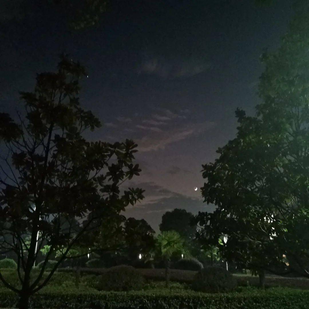 你可曾见过这样的夜景?_手机搜狐网