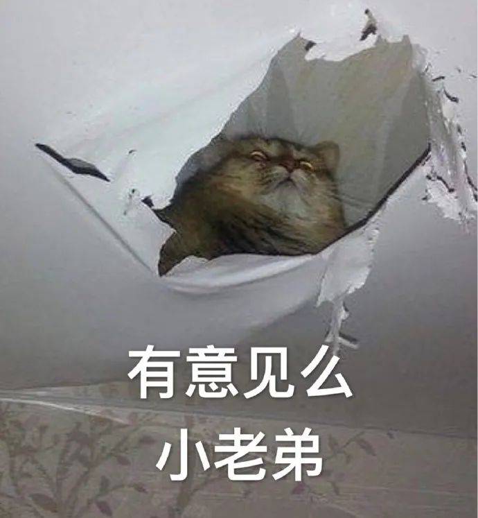 努力憋笑