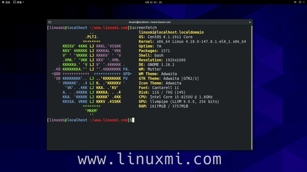cts linux  第1张