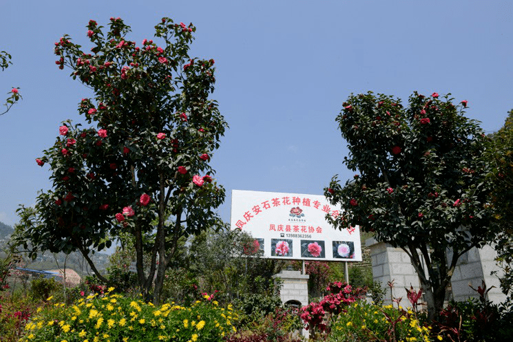 乡村旅游看临沧丨凤庆县凤山镇—安石村