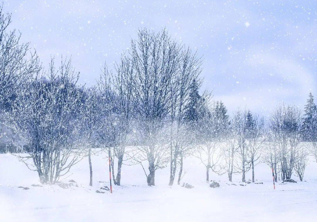今日大雪 万物冬藏 待春来