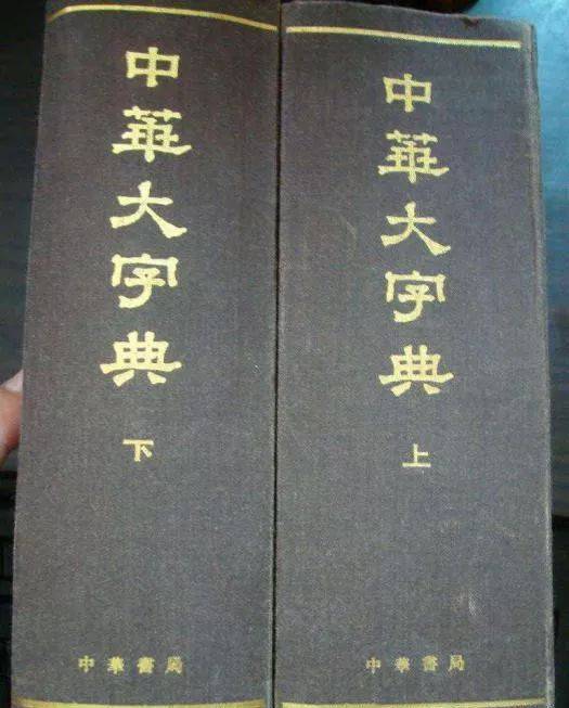 力人口组字_人口普查