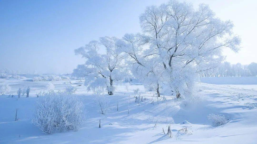 今日大雪愿你心中暖驱走冬日寒