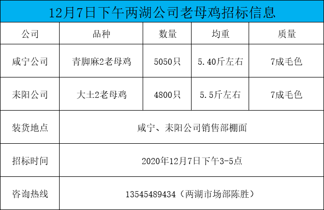 12月7日下午(3-5点)两湖老母鸡招标!