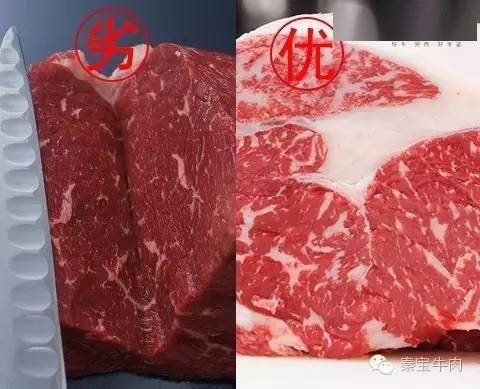 四招帮你轻松选到好牛肉_脂肪