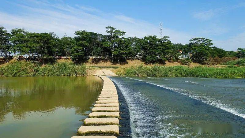 深圳绿道沿着龙岗河徒步到惠州