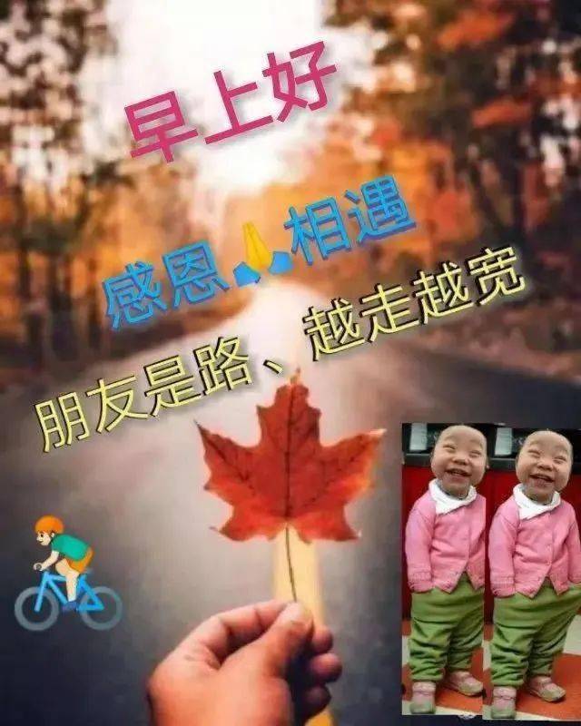 中老年表情包朋友是路越走越宽新的一天向快乐出发