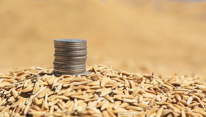 变相为房企土地出让金提供融资 信达资管上海分