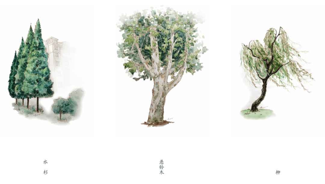 ba6d7fb027cb43dd90241e7a98b38759.png