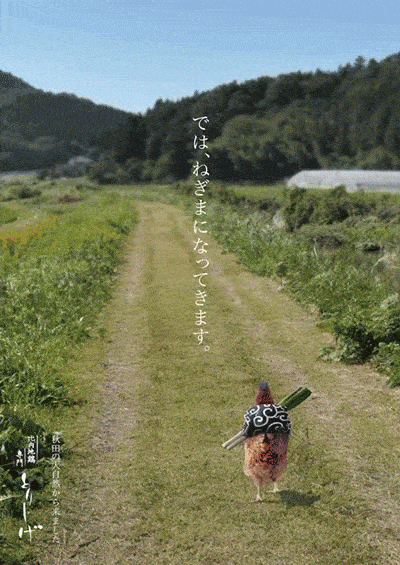 400_565 竖版 竖屏