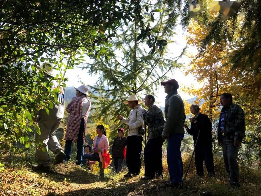 开化水库岭里村专班76图文:朱福存76审核:张祯华返回搜狐,查看