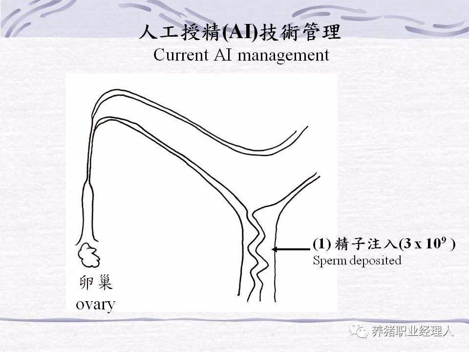 腹部收紧的原理是什么_幸福是什么图片(2)