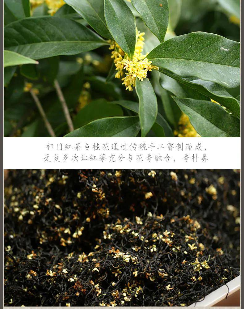 祁润祁门红茶:桂花祁红为你留住秋天的味道