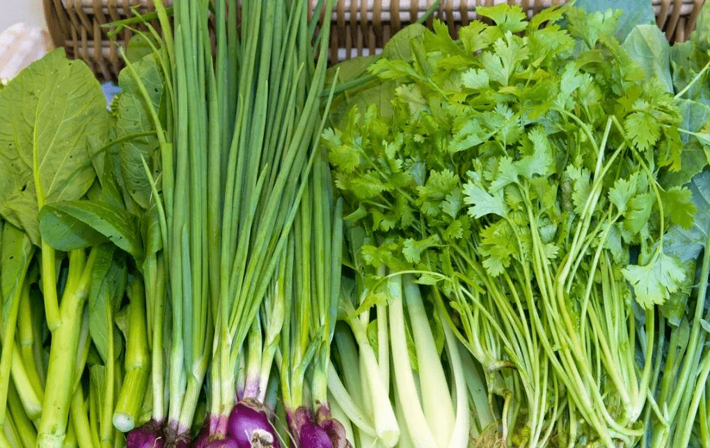 怎么晒香菜又绿又好吃 fbabd4bfd65540a9a5b0afc59e063b91.png