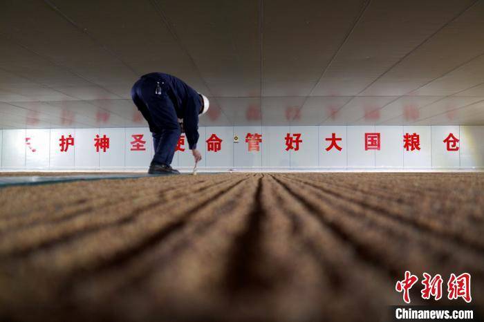 走近大国粮仓护粮人：感恩珍惜 劳动最美
