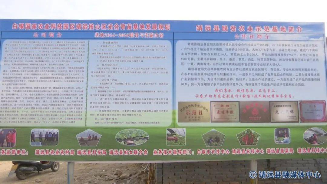 冬季大KAIYUN棚育苗忙 播种丰收新希望(图7)
