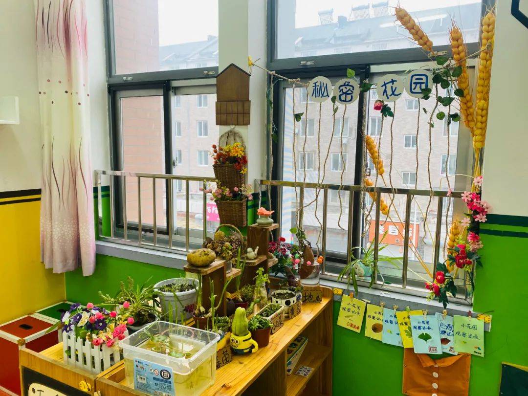 营口市育才幼儿园种植区建设掠影