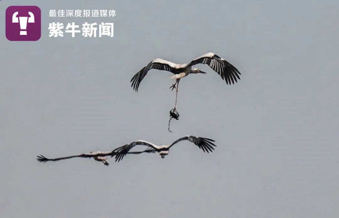 虫鸟什么兽成语疯狂猜成语_眼的成语疯狂猜成语图(2)