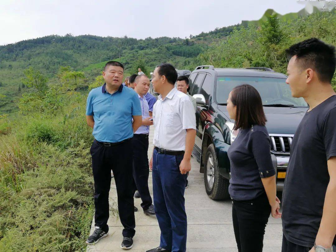 加快建设文旅古镇水韵苗乡县委书记陈良云调研大坝苗族乡