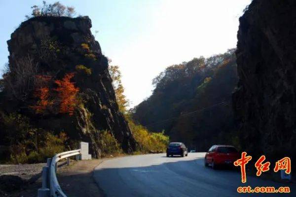 关东山那炽烈的红叶(组图)