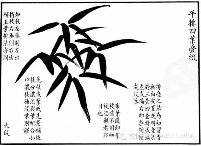 竹子简谱画_竹子画