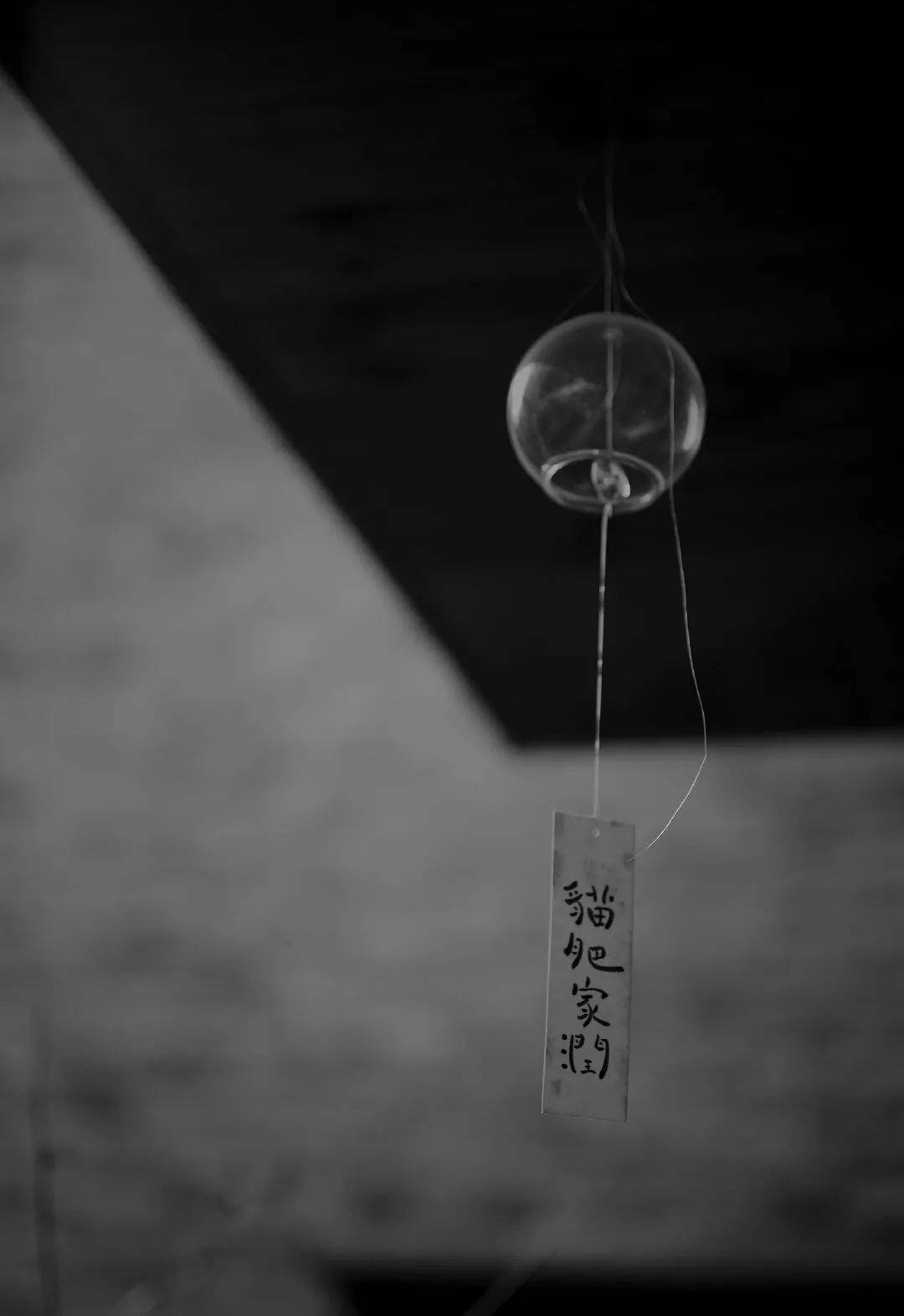 活得有趣,取悦自己._生活