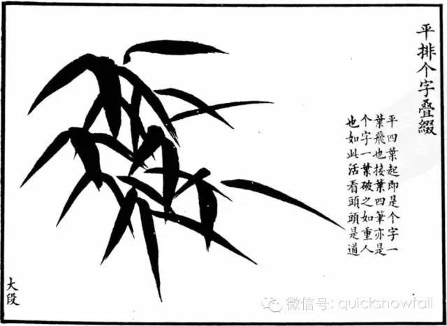 竹子简谱画_竹子画