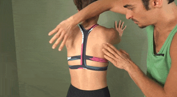 5dbeffe50e7a4fe4b50d9ff22015c521.gif
