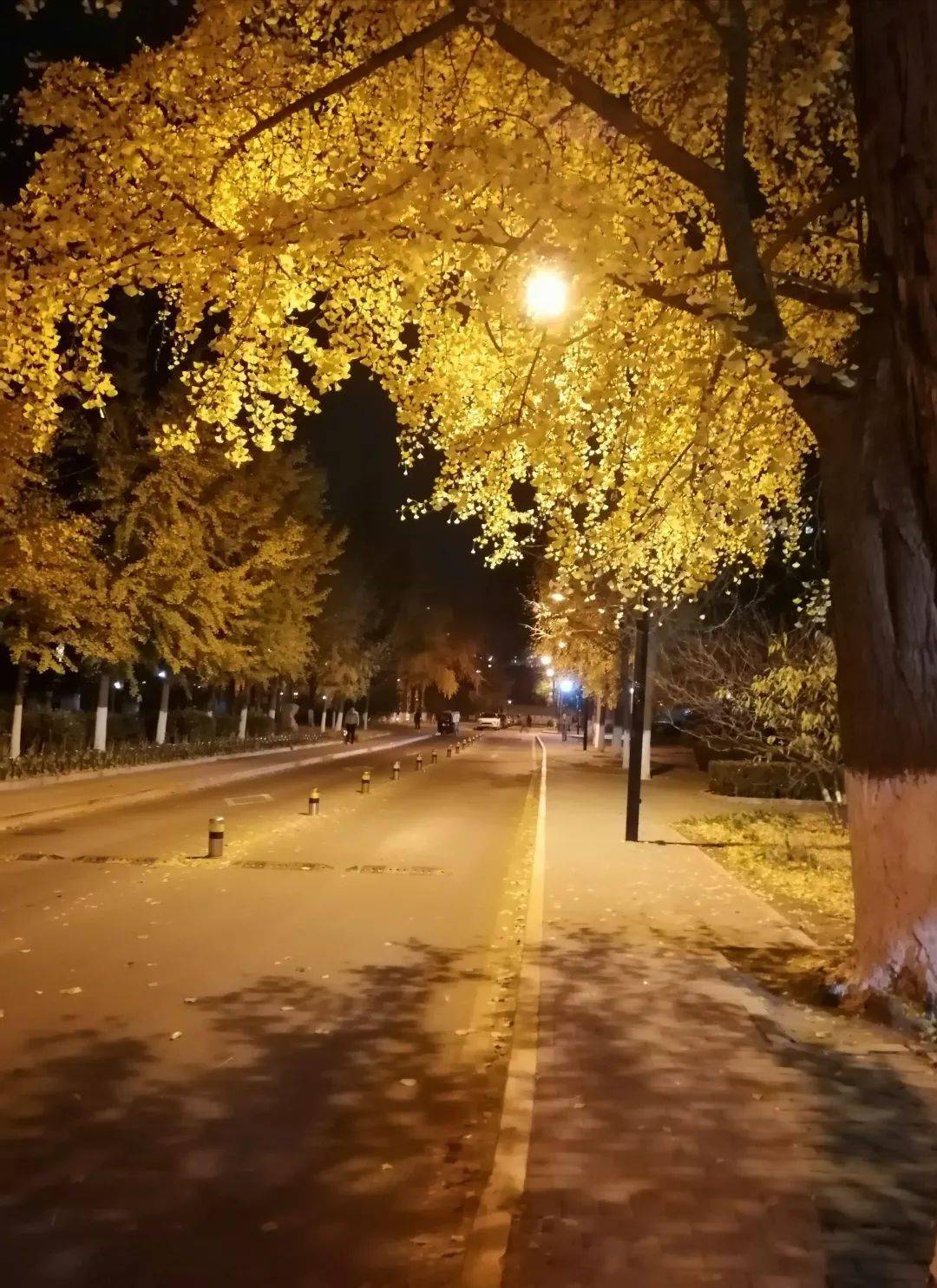 62cf7fa3e50f44f59b97105b157c1e7a.jpeg
