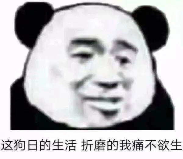 72defbf56b5545cc9e1e087d4c3d9e96.jpeg