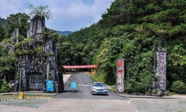 因桂平木乐这事,桂平西山,龙潭公园等景点免门票!_景区